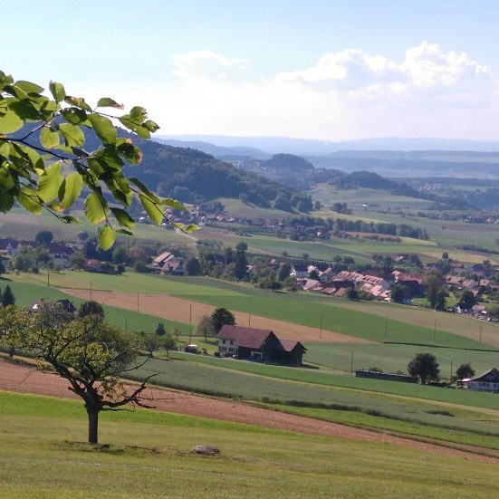 Quiet hills of Neftenbach