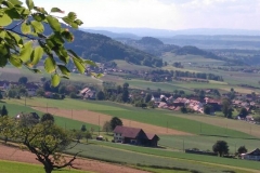 Quiet hills of Neftenbach