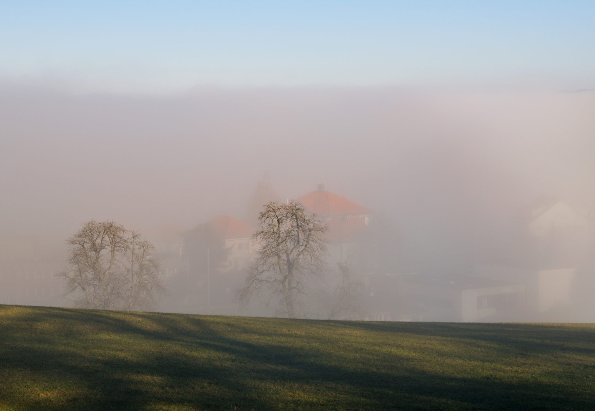 The foggy pastoral