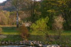 River of Töss in April