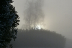 The-fog-and-the-sun